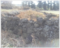  2024Ÿ13861   ȴ  1278      (Ӿ)