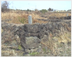  2024Ÿ13861   ȴ  1278      (Ӿ)