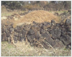  2024Ÿ13861   ȴ  1278      (Ӿ)