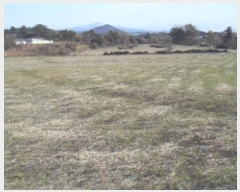  2024Ÿ13861   ȴ  1278      (Ӿ)