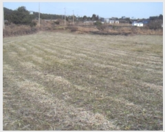  2024Ÿ13861   ȴ  1278      (Ӿ)