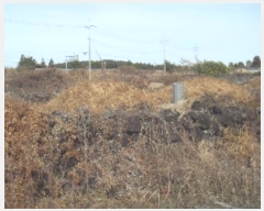  2024Ÿ13861   ȴ  1278      (Ӿ)