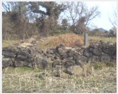  2024Ÿ13861   ȴ  1278      (Ӿ)