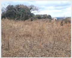  2024Ÿ14215  ֽ  󵵸 521-1      ()