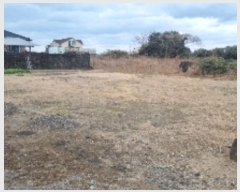  2024Ÿ14215  ֽ  󵵸 521-1      ()