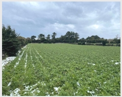  2024Ÿ20722     1984-1      