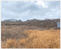  2024Ÿ26171  ֽ õ ̷ 92-11 (103)     ð