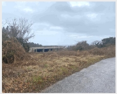  2024Ÿ26171  ֽ õ ̷ 92-11 (103)     ð