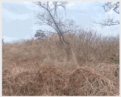  2024Ÿ26171  ֽ õ ̷ 92-11 (103)     ð