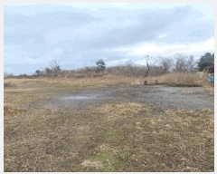  2024Ÿ26171  ֽ õ ̷ 92-11 (103)     ð