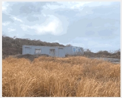  2024Ÿ26171  ֽ õ ̷ 92-11 (103)     ð