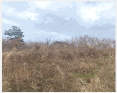  2024Ÿ26171  ֽ õ ̷ 92-11 (103)     ð