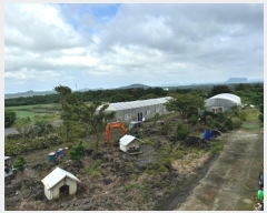  2024Ÿ��33186 ���� �������� ������ ���긮 3946-5      ����,â�����