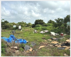  2024Ÿ��33186 ���� �������� ������ ���긮 3946-5      ����,â�����