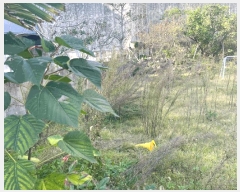  2024Ÿ��34936  �ٸ����ð��