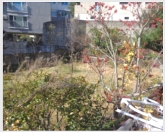  2024Ÿ��34936  �ٸ����ð��