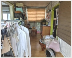  2024Ÿ��35113  ���ð��