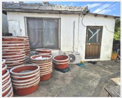  2024Ÿ��35113  ���ð��