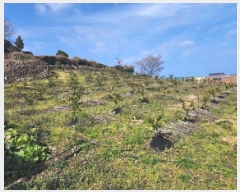  2024Ÿ��36109 ���� ���ֽ� �ֿ��� ���긮 2104      ����(��1)���