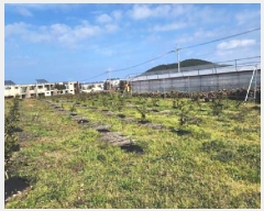  2024Ÿ��36109 ���� ���ֽ� �ֿ��� ���긮 2104      ����(��1)���