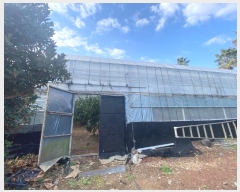  2024Ÿ��36550 ���� �������� ���� 387-3       ����(��)���