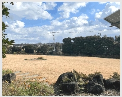  2024Ÿ��36642  �����