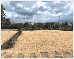  2024Ÿ��36642  �����