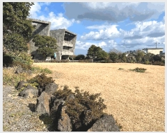  2024Ÿ��36642  �����