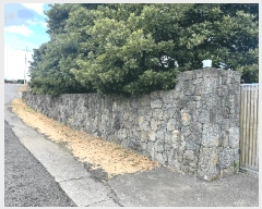  2024Ÿ��36642  �����