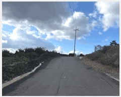  2024Ÿ��36642  �����