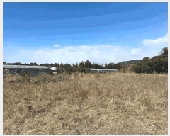  2024Ÿ��37164 ���� �������� ǥ���� ���ø� 2779      ����(��1)���