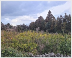  2024Ÿ��37348 ���� ���ֽ� �ֿ��� ������ 32-4      ����(������)���