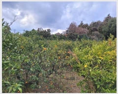  2024Ÿ��37348 ���� ���ֽ� �ֿ��� ������ 32-4      ����(������)���