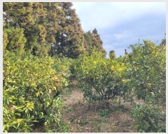  2024Ÿ��37348 ���� ���ֽ� �ֿ��� ������ 32-4      ����(������)���