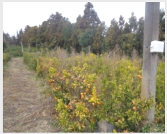  2024Ÿ��37348 ���� ���ֽ� �ֿ��� ������ 32-4      ����(������)���