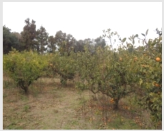  2024Ÿ��37348 ���� ���ֽ� �ֿ��� ������ 32-4      ����(������)���