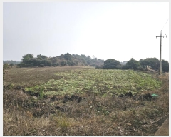  2024Ÿ37430    ޸ 1672      (Ӿ)