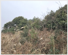  2024Ÿ37430    ޸ 1672      (Ӿ)