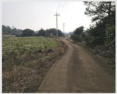  2024Ÿ37430    ޸ 1672      (Ӿ)