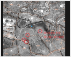  2024Ÿ37430    ޸ 1672      (Ӿ)