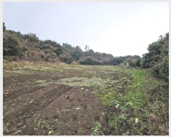  2024Ÿ37430    ޸ 1672      (Ӿ)