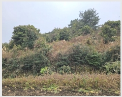  2024Ÿ37430    ޸ 1672      (Ӿ)