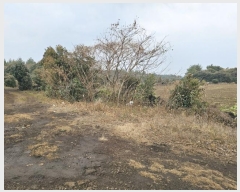  2024Ÿ37430    ޸ 1672      (Ӿ)