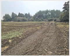  2024Ÿ37430    ޸ 1672      (Ӿ)