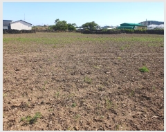  2024Ÿ3802  ֽ ֿ ݼ 628-2      ()