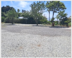  2024Ÿ4492   ȿ 1116-1       (ķ)