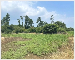  2024Ÿ8401  ֽ Ѱ θ 648 1ȣ     ,â