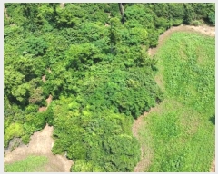  2024Ÿ8401  ֽ Ѱ θ 648 1ȣ     ,â