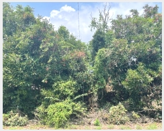  2024Ÿ8401  ֽ Ѱ θ 648 1ȣ     ,â