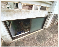  2024Ÿ��9381 ���� �������� ������ �Ϸʸ� 513      ���ð��